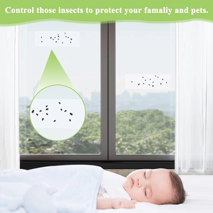 Ventes d'usine Transparent Fenêtre Mouche Colle Piège Maison Volant Tueur <span class=keywords><strong>Lady</strong></span> Bug Pièges Intérieur - Product Image 5