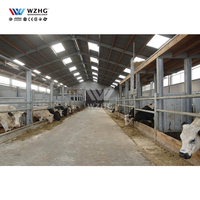 Haute qualité à bas prix préfabriqué veau grange Structure en acier bâtiment vache ferme élevage usine Module en acier