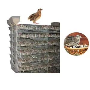 animal & poultry husbandry equipment quail layer cage HJ-QC400A 6 Tiers H type quail cages for egg production