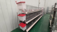 Revêtement résistant à la corrosion, cage à poulets à 3 niveaux, 60 poulets, 2 portes