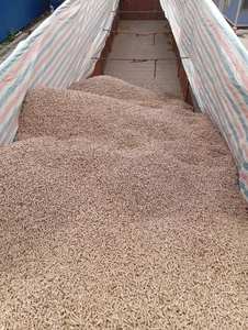 Pellets de madera de alta calidad a bajo precio con precio competitivo en venta desde la UE, listos para entrega mundial desde Vietnam. - Product Image 5