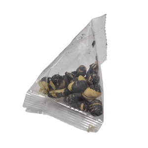 Máquina Empacadora Automática VFFS WOOSHIN FA&T para Bolsas Piramidales, para Chocolate, Dulces y Granulados, para Bolsas Triangulares, 1 Año de Garantía - Product Image 4