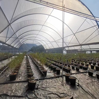 Serre agricole à faible coût, grande serre en polyéthylène double couche, type Y, abri contre la pluie pour légumes, serre pour tomates