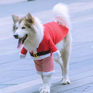 Crazy Two-Legged Santa Outfit para perros y gatos-Ropa cálida de lana para mascotas para Otoño/Invierno, transforma tu Golden Retriever - Product Image 2