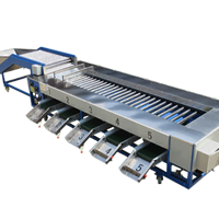 Nieuwe citrus mango sorteermachine industriële automatische rollertype fruit- en groentesorteermachine roestvrij staal hoogwaardig
