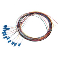 OEM 12 Core Fiber Optic Pigtail Singlemode G657A2 0.9Mm Tight Buffer LC UPC for FTTX Network
