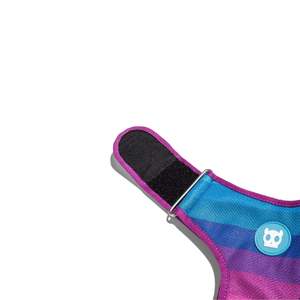 Harnais en maille réglable Prism pour chiens, équipement pour animaux de compagnie couleur arc-en-ciel - Product Image 5