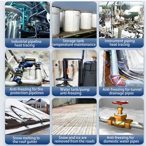 Cable Calefactor Autolimitante de 20W 35W 40W 220V para Exteriores, Anticongelante para Tuberías, Eliminación de Nieve en Techos, Descongelación de Canaletas - Product Image 5