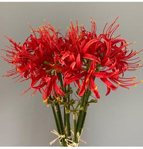 J-253 Artificial de araña, Artificial de <span class=keywords><strong>Lycoris</strong></span> <span class=keywords><strong>Radiata</strong></span>, Manjusaka, tallo largo, rojo de imitación - Product Image 6