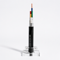 Câble électrique basse tension en cuivre XLPE PVC robuste pour centrale électrique, voie ferrée aérienne, construction industrielle et bâtiment