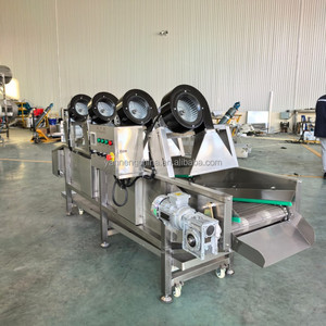 Machine de lavage à bulles d'air pour légumes et fruits frais (mangues, pommes) – Ligne de production de nettoyage à bulles – Excellent prix - Product Image 5