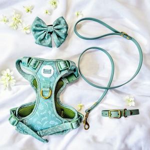 Sunraymascota Heimtierprodukt-Hersteller Neuheit 2025 Luxuriöses, Individuell Angepasstes Haustiergeschirr-Set aus Oxford-Neopren Personalisiertes Hundegeschirr - Product Image 2