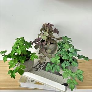Plantas Artificiales en Maceta <span class=keywords><strong>Campanula</strong></span>, Bonsai Verde, Pequeño Árbol, Hierba, Maceta, Flores Falsas para Decoración de Jardín y Hogar - Product Image 5