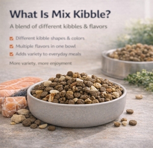 MASTER-X CAT Mix, Alimento Seco para Gatos, Ingredientes Naturales, Nutrición Completa y Apoyo para un Pelaje Saludable, Proveedor Mayorista OEM - Product Image 1