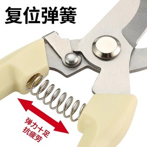 Cisailles de taille Al108 à lame en acier inoxydable de 1 pouce de longueur pour le jardinage, la taille des arbres fruitiers, la taille des fleurs et les outils de greffage - Product Image 2