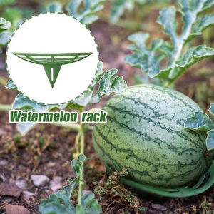 Support pour melon, support pour fruits, support pour légumes, plateau de culture, panier de support, cadre de protection pour courgettes et citrouilles - Product Image 3