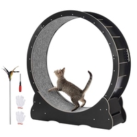 Roue d'exercice pour chat, grand tapis roulant pour animaux de compagnie d'intérieur, roue de course avec tapis amovible et jouet de stimulation pour chat pour l'entraînement