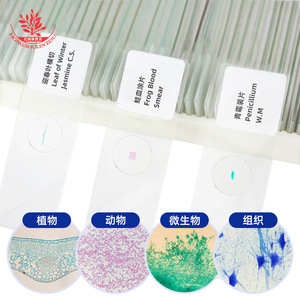 Secciones biológicas con teñido vivo, de 26*72 mm, con estructura clara, típicas para la observación microscópica de 200 células. - Product Image 1