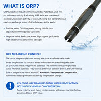 Sensor ORP Digital RS485 Elektroda Redoks Baja Tahan Karat 316 IP68 OEM -2000...2000mV Menara Pendingin Cairan Pusat Data