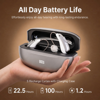Alat bantu dengar BTE, SUPER SEPTEMBER harga pabrik 32 Ch RIC BT alat bantu dengar Digital dapat diisi ulang Amplifier