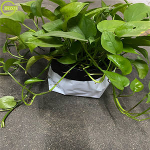 Sacs <span class=keywords><strong>de</strong></span> semences d'herbe à prix compétitif pour le jardin - Product Image 6