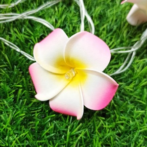 ไฟ Led ประดับวันหยุดอื่นๆ,ไฟ LED สำหรับตกแต่งงานแต่งงานไฟสาย Led 10ดวงสำหรับห้องนอนตกแต่งเทศกาลคริสต์มาส - Product Image 5