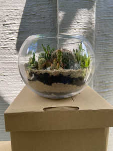 Terrarium en verre géométrique forêt bol ouvert <span class=keywords><strong>original</strong></span> Pentagone en or clair Vase à fleurs en verre - Product Image 6