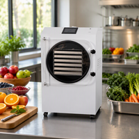 Lyophilisateur domestique sous vide, petite machine de lyophilisation alimentaire, lyophilisateur sous vide pour fruits, légumes, viande et aliments pour animaux de compagnie