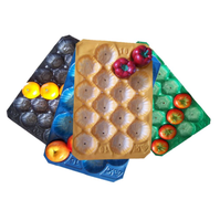 Inserts en plastique PP/PET pour barquettes à fruits, fournis par l'usine, pour l'emballage des barquettes à cavités pour pommes, mangues, papayes, tomates, avocats et légumes