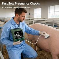 Échographe vétérinaire portable pour la détection de la gestation des truies, testeur d'échographie B portatif pour porcs avec sonde pour les exploitations agricoles