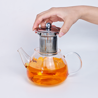 Théière de luxe en verre borosilicate de 600 à 1600 ml, résistante à la chaleur en acier inoxydable 304, sans BPA, écologique, compatible lave-vaisselle