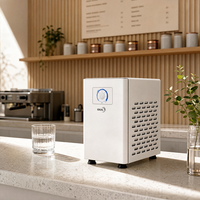 Refroidisseur d'eau sous évier compact en acier inoxydable pour cuisine et bar domestique