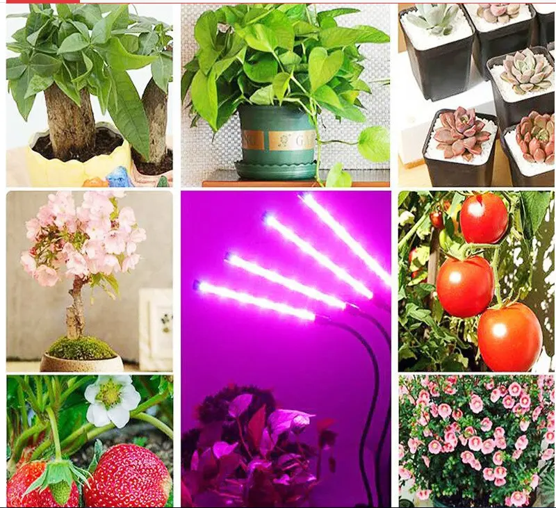 실내 식물 성장 빛 4 헤드 LED 조정 가능한 구스넥으로 시작하는 씨앗을위한 전체 스펙트럼 식물 조명으로 빛을 성장