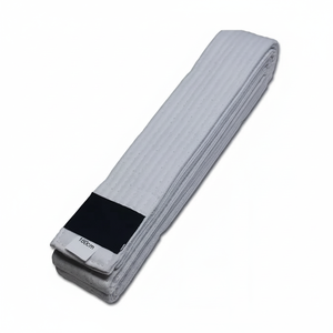 Nouveau gros Logo personnalisé broderie Arts martiaux karaté Judo BJJ ceintures de karaté pour la formation d'arts martiaux pas cher prix 2025 - Product Image 1