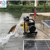 Pompe à Eau Solaire à Grand Débit 1100W en Vente Directe d'Usine pour Irrigation et Agriculture, Support OEM Personnalisé, Pompe de Surface Solaire DC