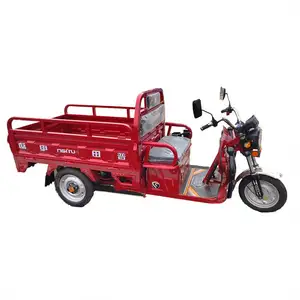 The New Listing Tricycle Engine Electric Abs Roof 800W Harga Motor Trike