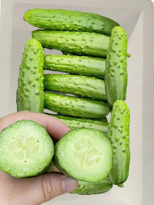 Toptan damak gevrek turşu dilimlenmiş sebze Sliced zuke Kyuri zuke salatalık turşusu - Product Image 6