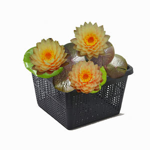 Pacchetto Super Conveniente: Tuberi di Nymphaea Blushing Bribe e Cesto Acquatico Pro per Ninfee d'Acqua - Product Image 1