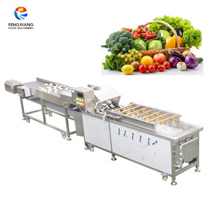 Solution de lavage personnalisée à bulles d'air pour fruits et légumes 1-3t/h, laveuse industrielle pour salades, mangues et légumes verts avec rinçage par pulvérisation - Product Image 1