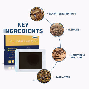 Patchs anti-douleur professionnels de haute qualité, ingrédients naturels, action rapide, longue durée, respectueux de l'<span class=keywords><strong>environnement</strong></span> pour le corps - Product Image 2