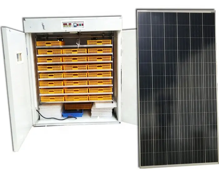 Incubadora Solar de huevos, máquina para incubar huevos de gallina, codorniz, pato, ganso, pavo, 2000