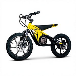 Vélo électrique de course à prix abordable, pneus larges de 16 pouces, sûr, antidérapant, imperméable, pour enfants - Product Image 1