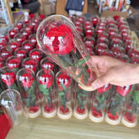 Rose naturelle préservée faite à la main en gros d'usine avec tige et tube en verre pour femme, fleur éternelle sous cloche, cadeau
