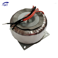 Transformateur toroïdal monophasé à enroulement en cuivre haute efficacité 220V/230V vers 12V 300W pour amplificateurs audio