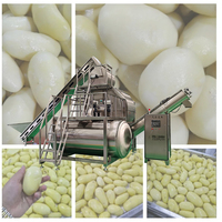 Système d'élimination de la peau haute capacité automatique pomme pêches poivre carottes tomate Hydro coupe vapeur Machine à éplucher
