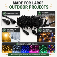 Guirlandes lumineuses LED d'extérieur connectables en gros avec connecteurs filetés, effet clignotant et 8 couleurs