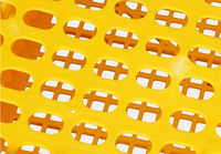 Boîtes de Transport des poules, récipients en plastique, pour bébés, Cage, 2 unités