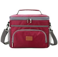 Bolsa de playa térmica plegable con aislamiento suave grande personalizada para niños, caja de almuerzo para exteriores, almacenamiento de leche materna