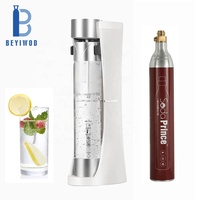 Fabricant d'eau pétillante gazéifiée personnalisée de 425g CO2 0,6 L approuvé par le LFGB avec bouteille en PET de 60L pour hôtel, usage extérieur et domestique
