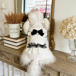 Hi Kitty polka dot lace dress, summer thin, breathable, cute <b>clothes</b> for <b>cats</b> and dogs, Teddy, Bichon Frise, and small dog - Product Image 2